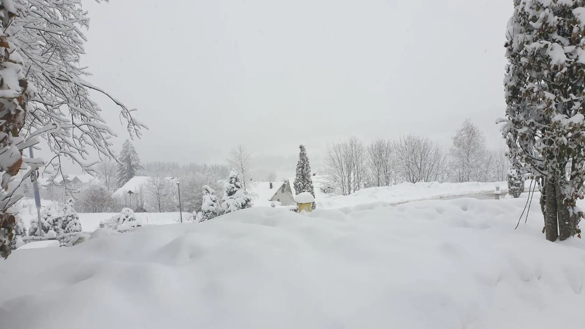 Schoene Ferienwohnung Im Bayerischen Wald 상트엥글마 0*,  독일